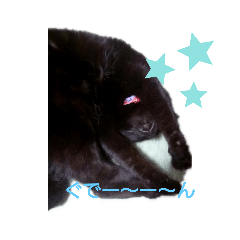 STAR_20191220173113