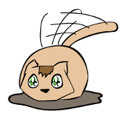 Poncho The cat Poncho The cat