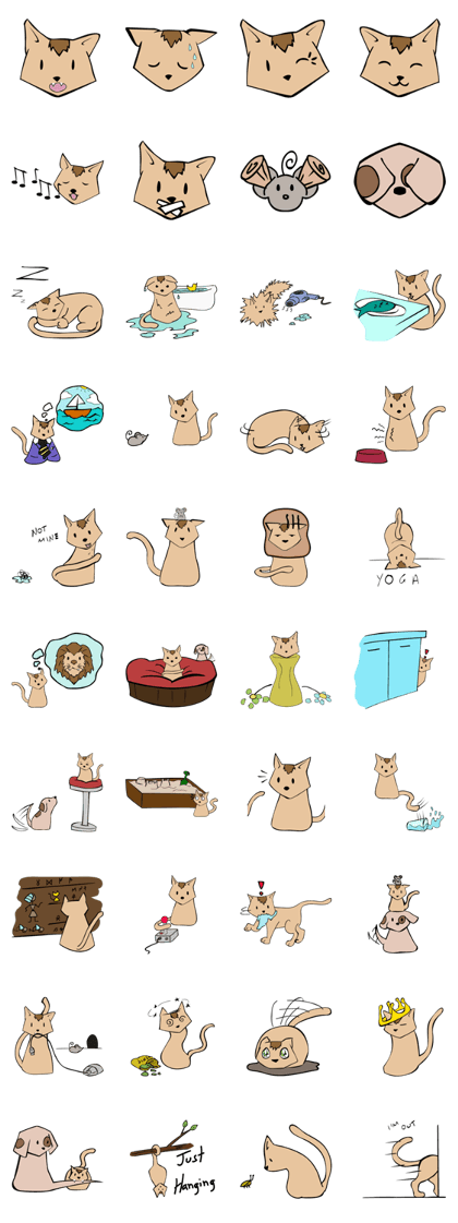 Poncho The cat Poncho The cat