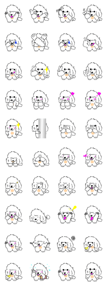 Lamb of white poodle Lamb of white poodle