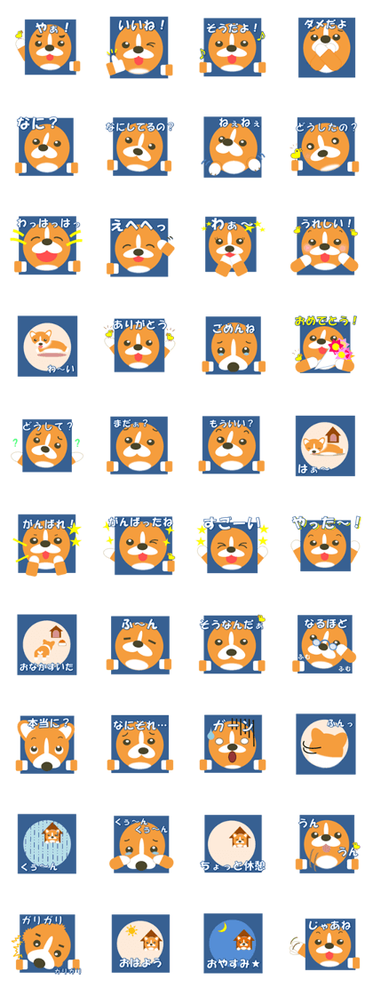 The window of Corgi The window of Corgi