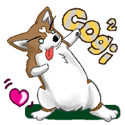 Day with a brilliant Corgi