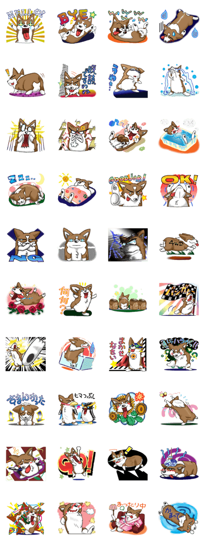 Day with a brilliant Corgi