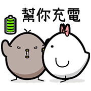 Black and White Chicken 4