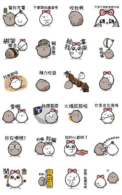 Black and White Chicken 4