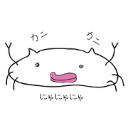 Crab Cat KANINEKO & the Frog MIYABOYA