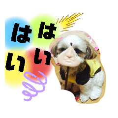 shizu_20191220223114