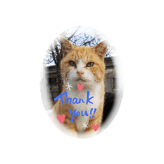 saori_20191220221107