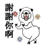 Smiling Alpaca 3