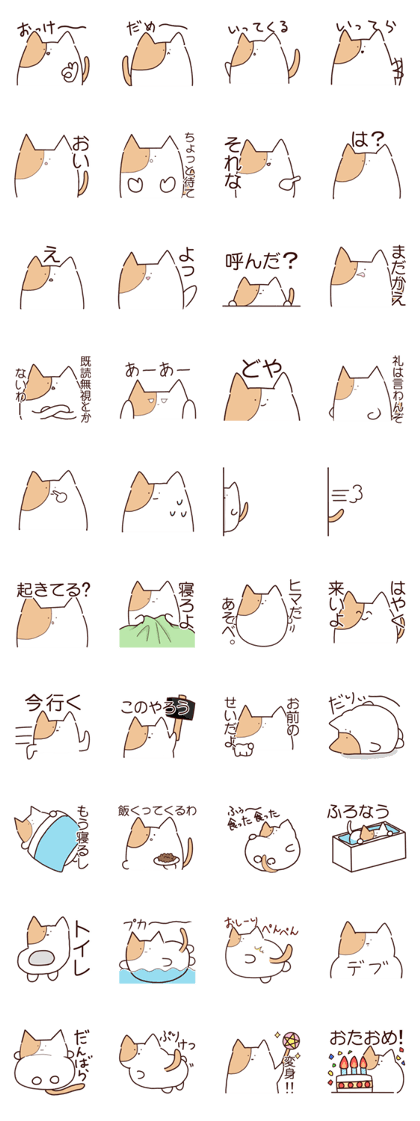 Cat such as the hamster