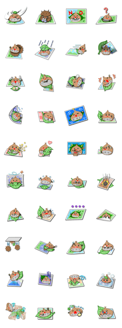 Chestnut in a picture