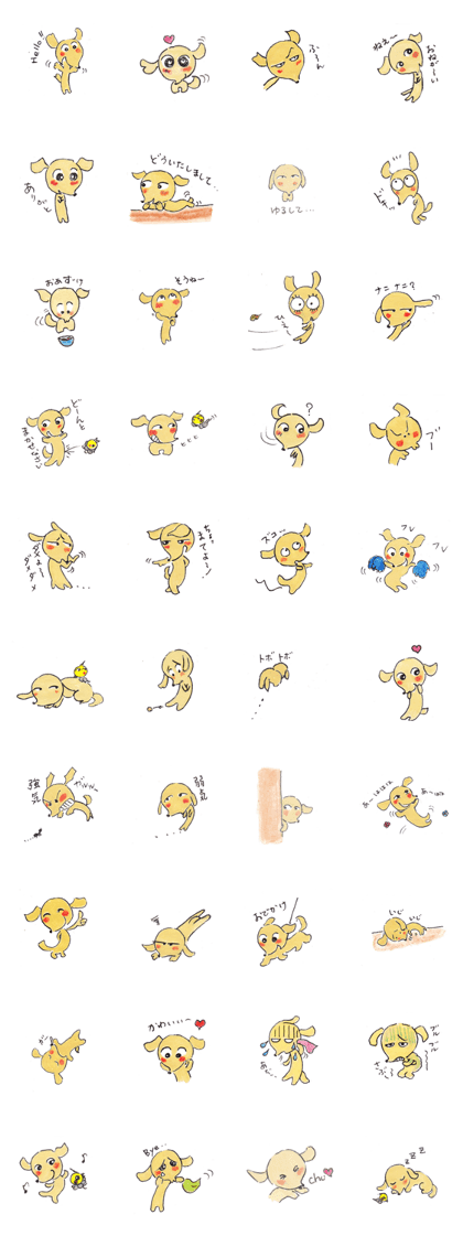 Daily of dachs Chobi-chan