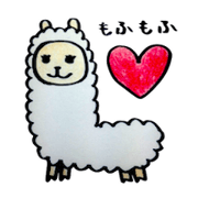 One day in the Life of Alpaca