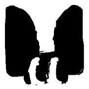 Ai and namonakinezumi