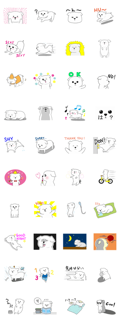 Xin Xin Maltese dog Xin Xin Maltese dog