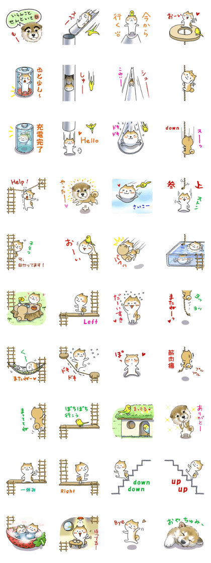 Let's join!  A Japanese dog, Maru5