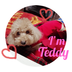teddy _stamp