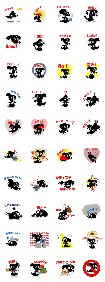 Pace of black border collie.