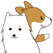 white pomeranian and puppies white pomeranian and puppies