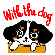 Cute dog of the tri-color for English.