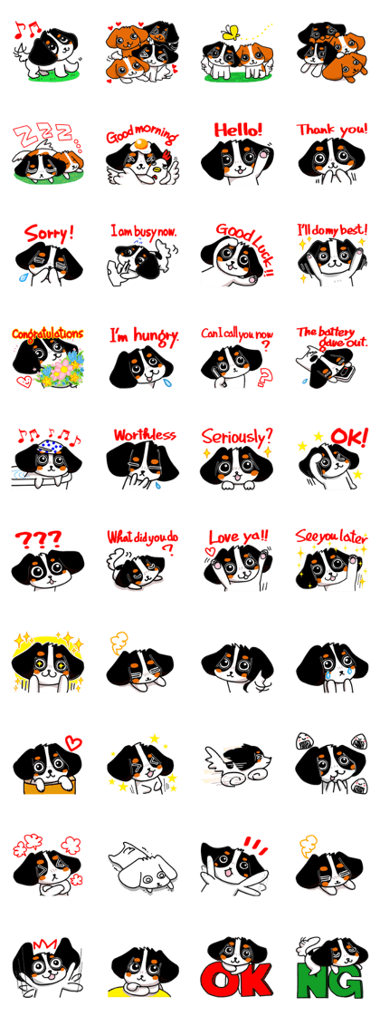 Cute dog of the tri-color for English.
