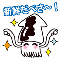 I am a squid of Hokkaido.japan