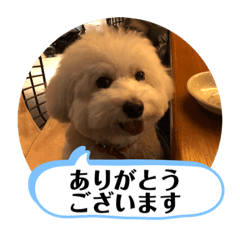siro_20191221130151