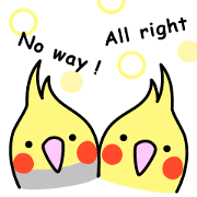 Birds' reply (English)