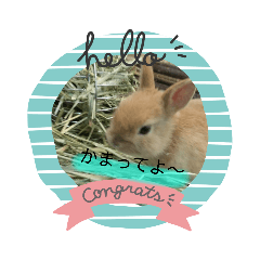 Rina_20191221133016