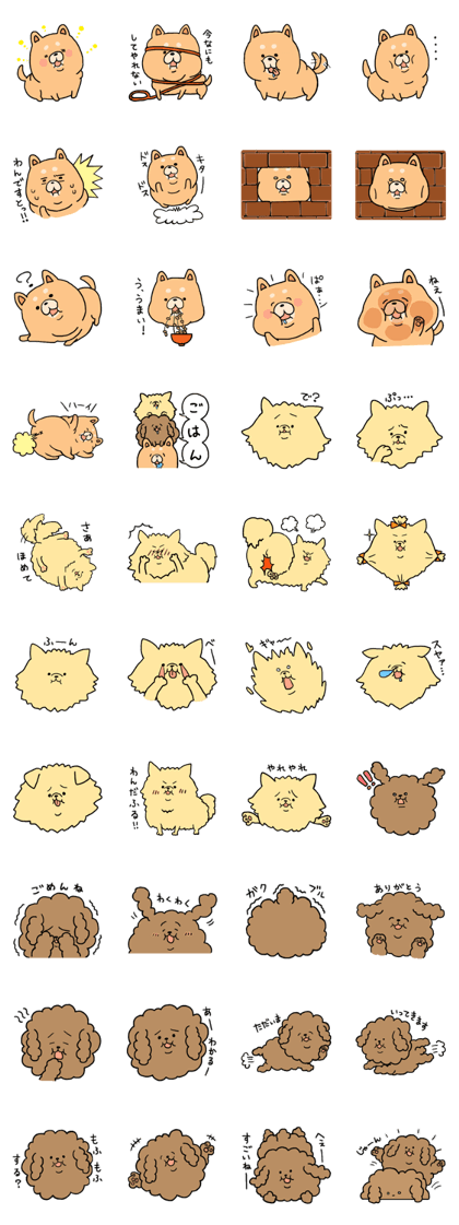 The plumpy dogs