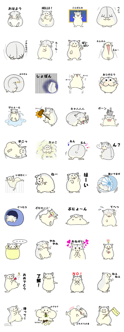 Mr.Lolo of a hamster