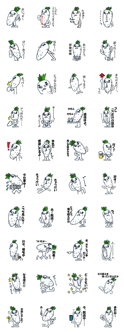 Daichan of long chin radish
