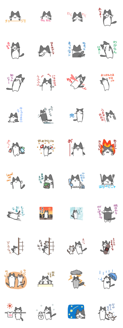 pretty cat2