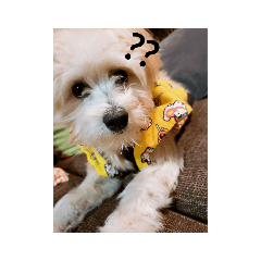 mizuki_20191221162931