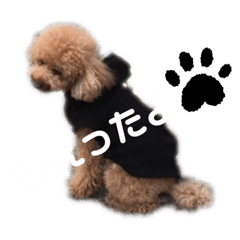 HANA_20191221180521