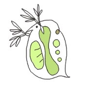Microorganism