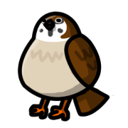 Sparrow