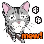 Cat American Shorthair(English ver.)