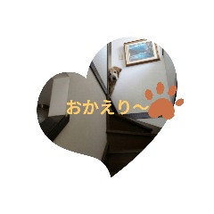 purin_20191221193020