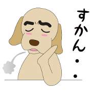 Labrador speaking KYUSYU dialect