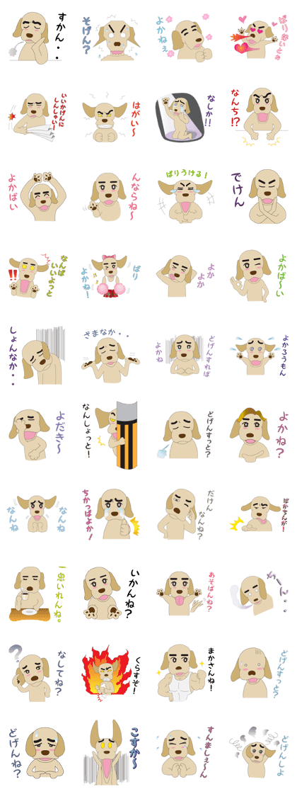 Labrador speaking KYUSYU dialect