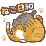 Cat weather