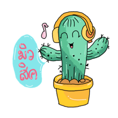 cactus...lovely