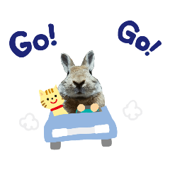 うちの子シリーズ『うさぎのコテツくん』