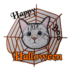 Halloween cat Sticker