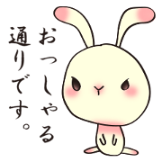 The wabi and sabi rabbit
