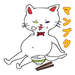 White kitten Ginji