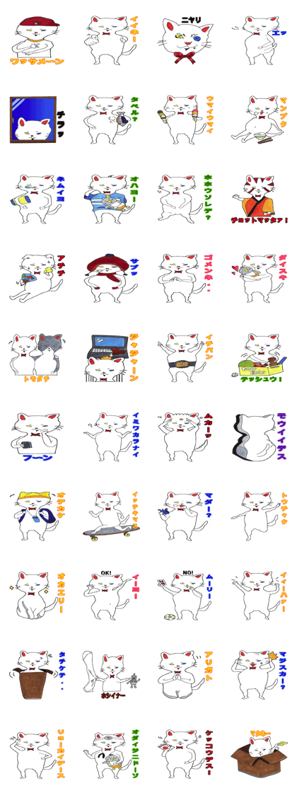 White kitten Ginji