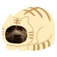 nagisa_2019122121423