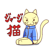 Jersey cat